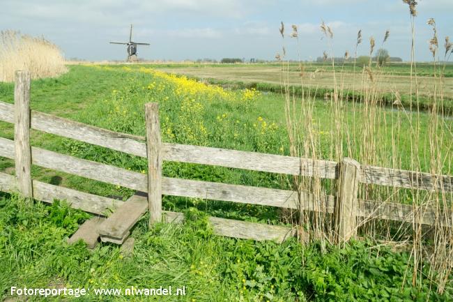 Groene Wissel Alblasserdam