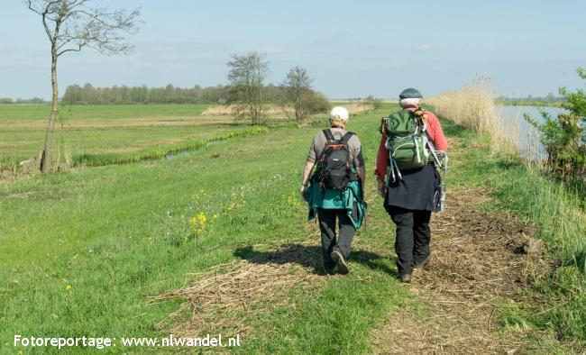 Groene Wissel Groot-Ammers