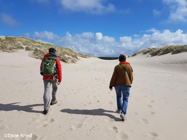 Door de laagte in de duinenrij bij De Kerf