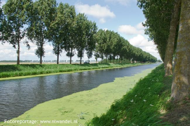 Groene Wissel Nieuw Vennep