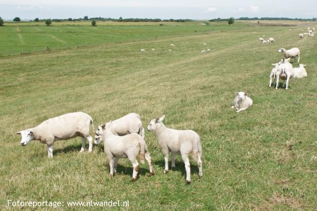 Vanaf de Zeedijk