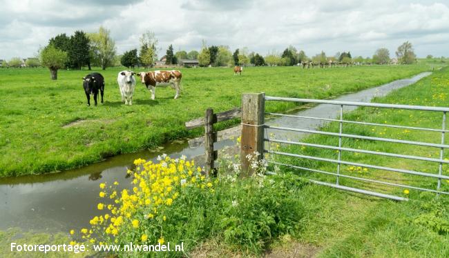 Polder Tiendhoven