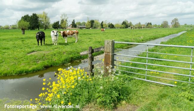 Polder Tiendhoven