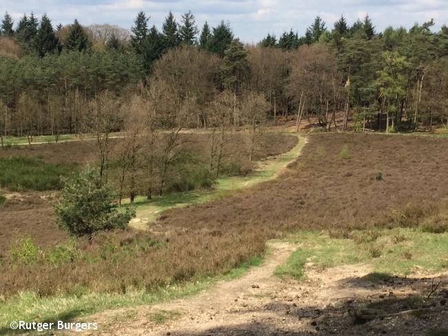 Trage Tocht Amerongen Zuylestein