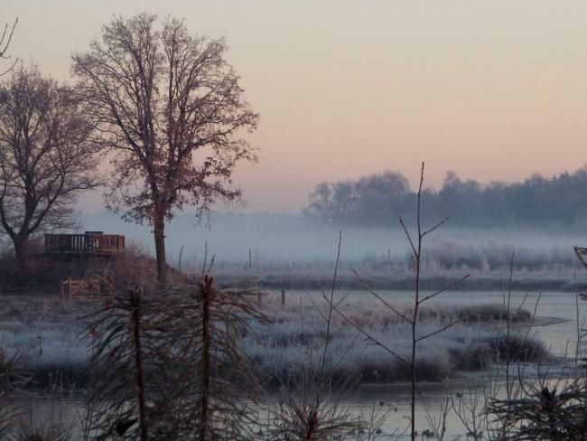 Natuurontwikkelingsgebied de Walbeckerheide