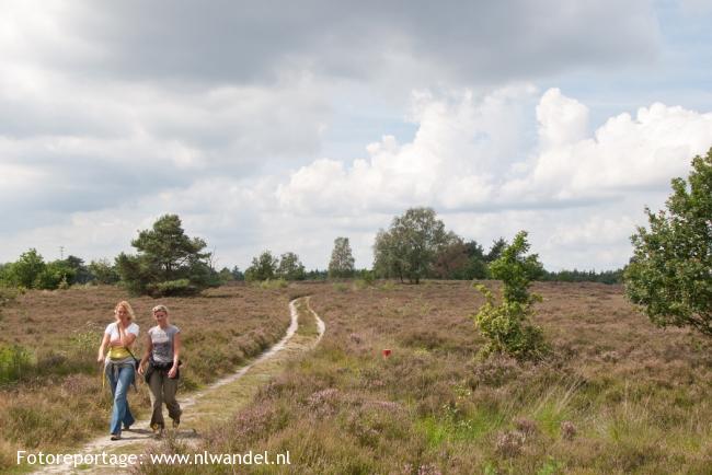 Groene Wissel Nunspeet 1