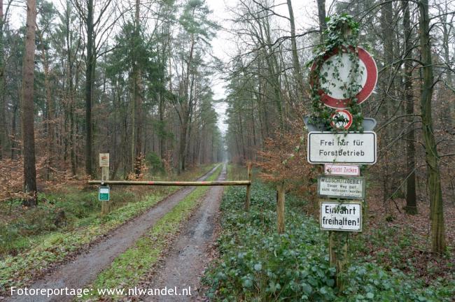 Bentheimer Wald, wildreservaat