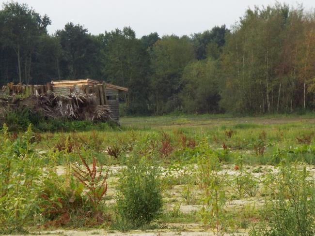 Vogelkijkhut in de Banen