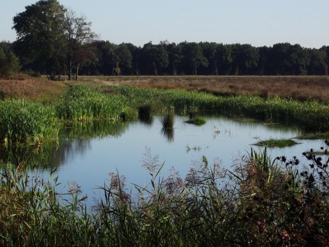 Kruispeel en Achterbroek-tocht