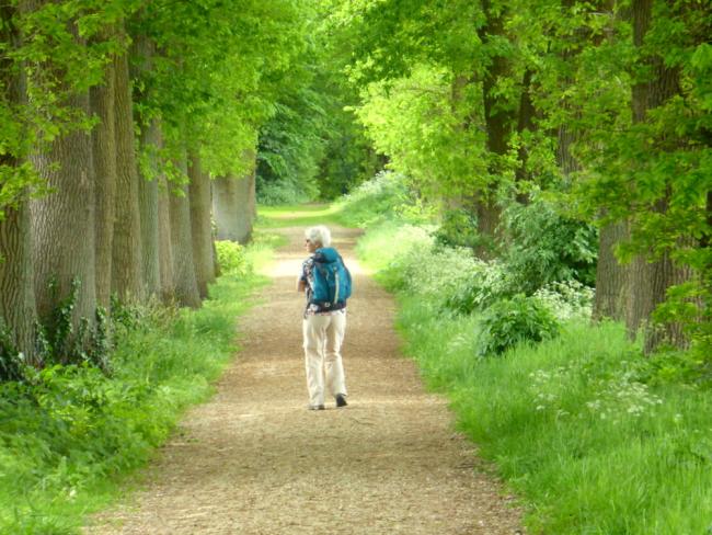 Trage Tocht Oosterbeek landgoederen