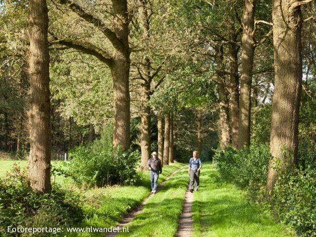 Groene Wissel Barneveld Centrum