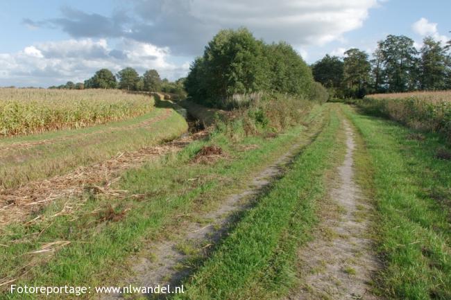 Groene Wissel Coevorden