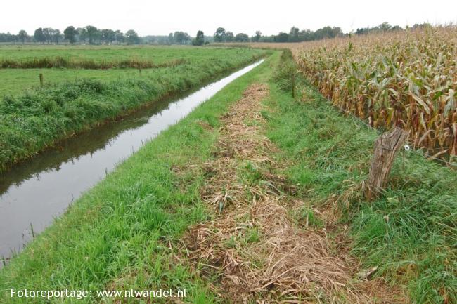 Groene Wissel Brummen