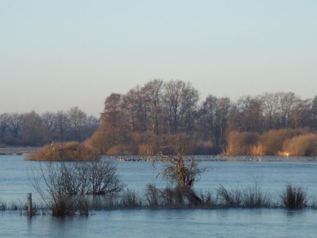De Zoom-tocht
