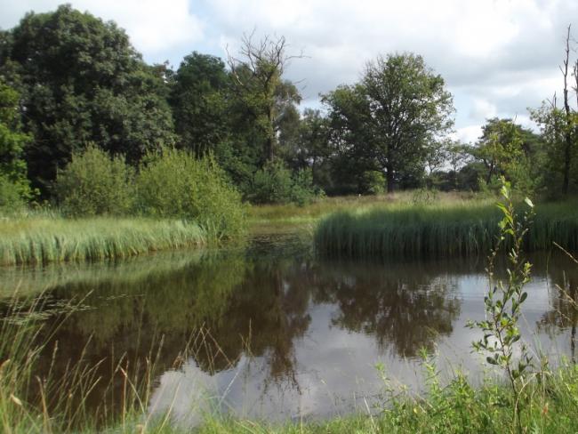 Nieuwkerk en Regte Heide-tocht