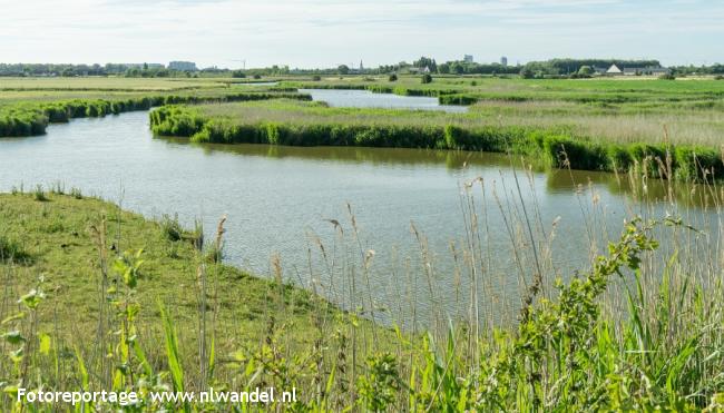 Groene Wissel Oostende