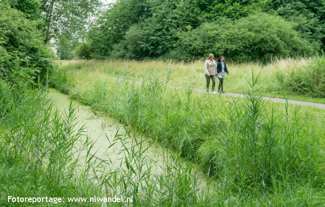 Groene Wissel Utrecht Vaartsche Rijn