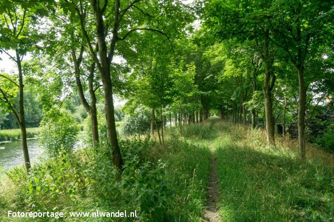 Groen langs Tankenberg