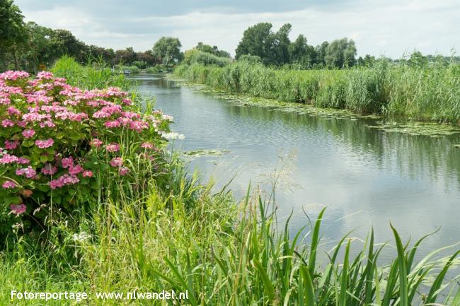 Groene Wissel Abcoude 2