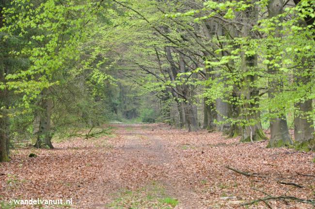 Wandelvanuit Elp