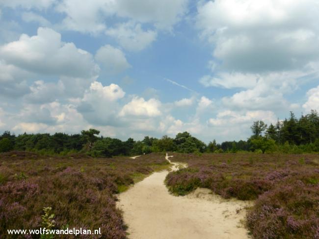 Trage Tocht Bakkeveen