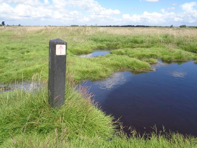 Markering route door Moergebied, in juli en augustus
