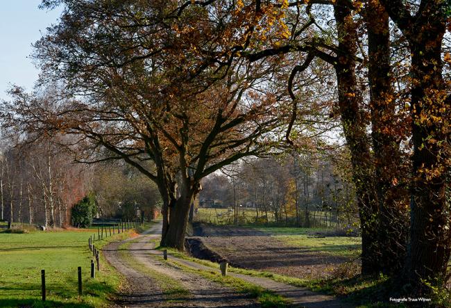 Twentse Wallen - Ootmarsum