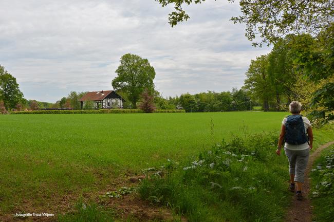 Twentse Wallen - Oldenzaal