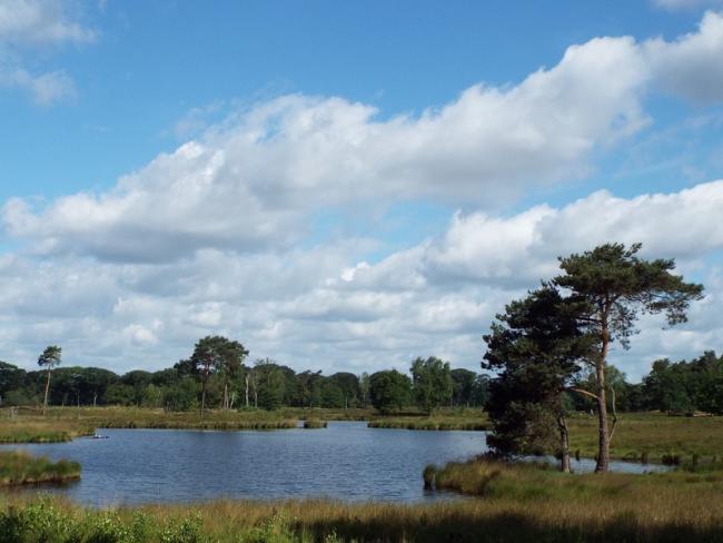 Een van de vele vennen