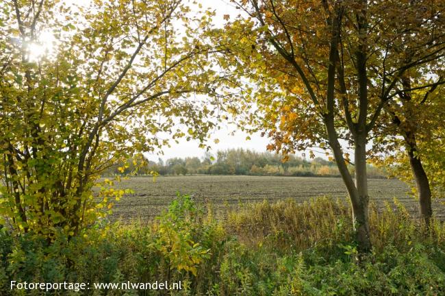 Landgoed De Kiefte