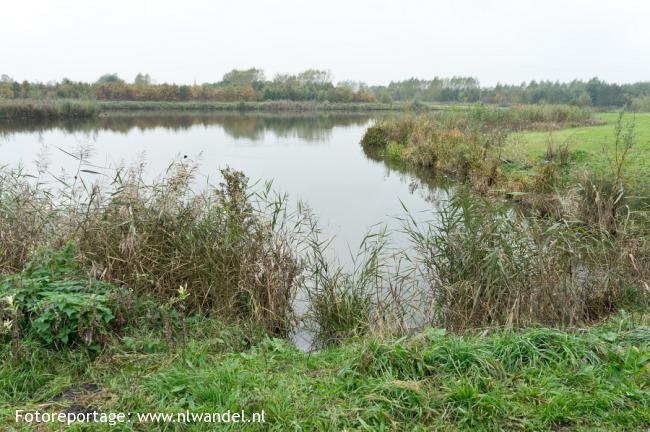 Groene Wissel Zwijndrecht