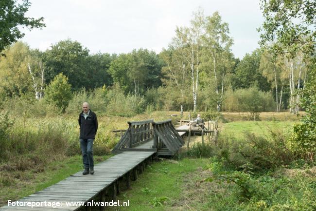 Groene Wissel Riel