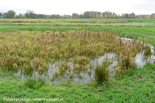 Groene Wissel Culemborg