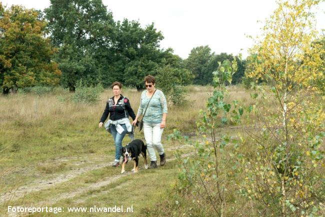 Groene Wissel Middelbeers