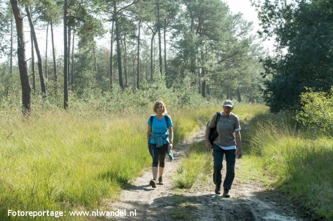 Groene Wissel Luyksgestel