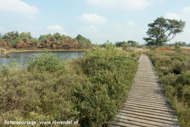 Groene Wissel Dommelen