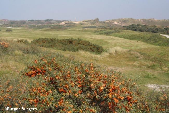 Trage Tocht De Pan