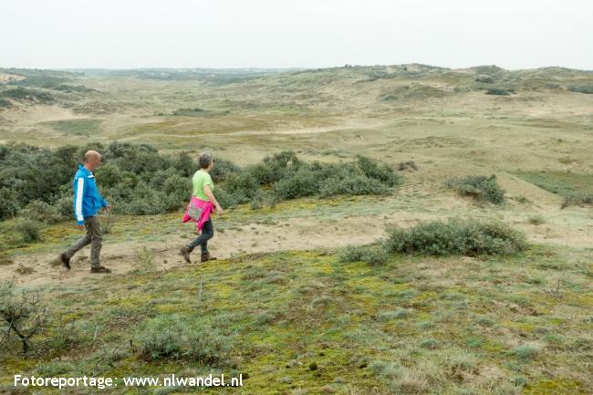 Groene Wissel De Zilk