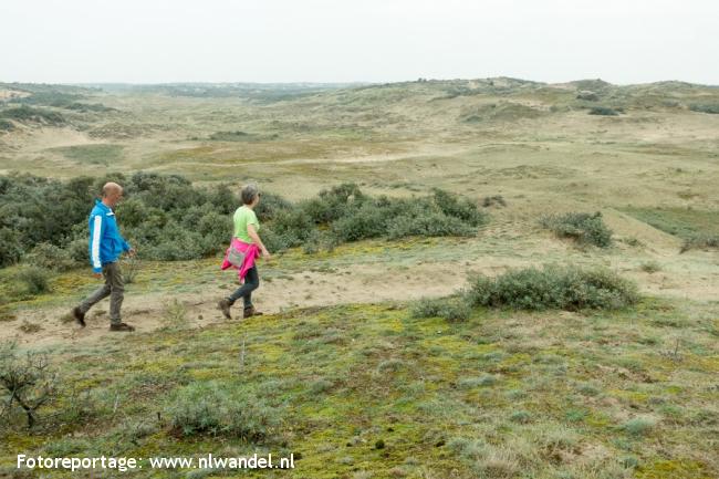 AWL-duinen, Boeveld