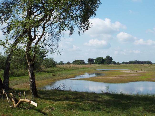Uitzicht over De Plateaux