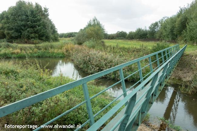 Groene Wissel Spoordonk