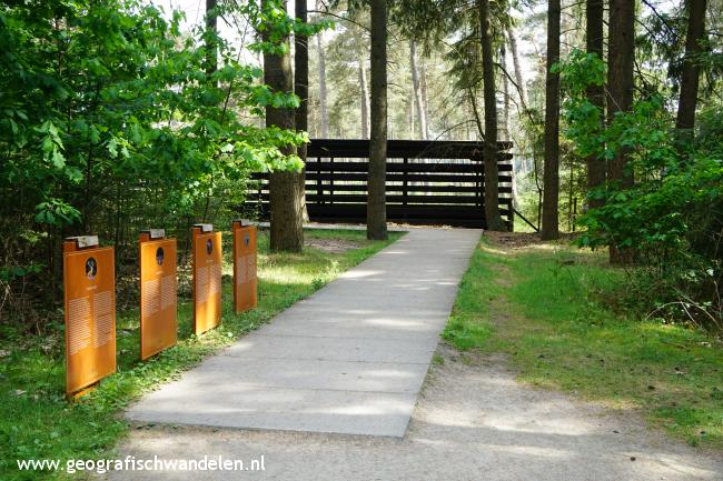 Rondje Wildobservatieplaats Koeverbos