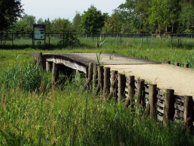Replica van houten beekbrug uit de Romeinse tijd