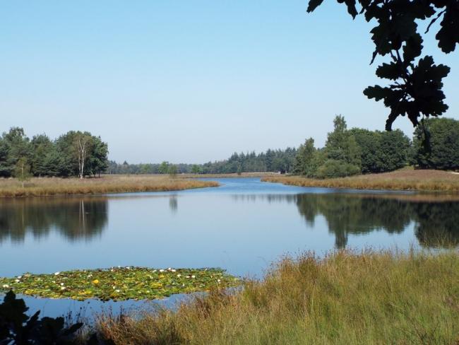 Het Keelven