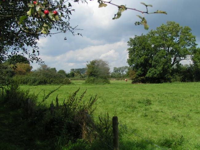 Een oud landschap-de kleine tocht