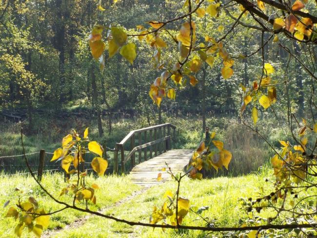 Brugje over de Tungelroyse Beek