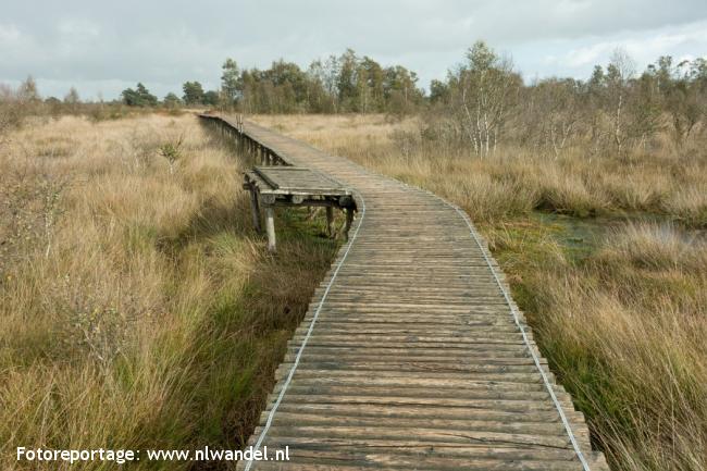 Groene Wissel Ospeldijk