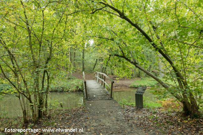 Groene Wissel Roggel 1