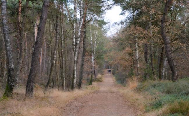Holten - Holterberg