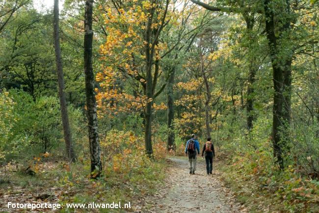 Groene Wissel Sint Anthonis